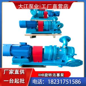 無堵塞自吸轉子泵